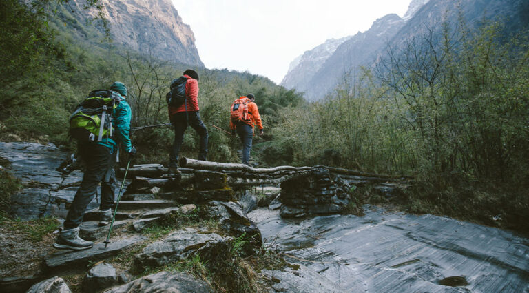 Hiking Fitness Guide: The Best Training Plan, Strength Workouts & Gear to Dominate Any
