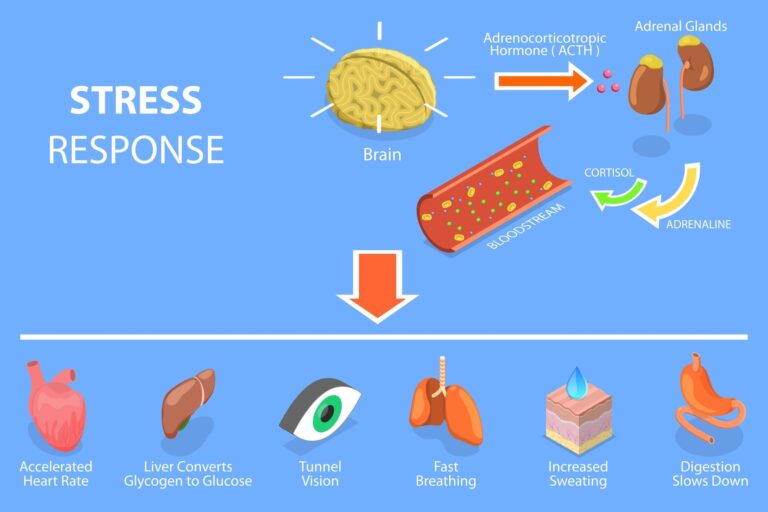 Stress & Health – Why Perception Matters
