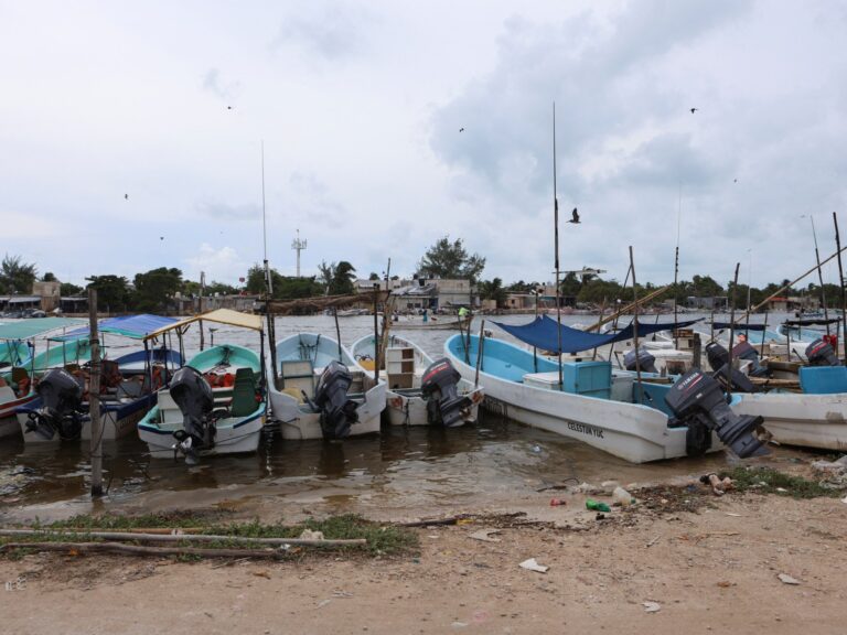 Faecal waste pollutes drinking water in Mexico’s Yucatan, Greenpeace says